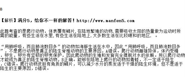 陆生脊椎动物基本特征