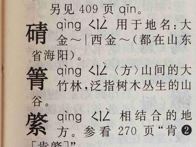 背两个读音的区别
