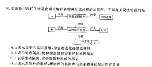 新物种形成的三个阶段