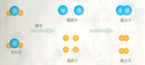 s离子o离子的半径大小比较