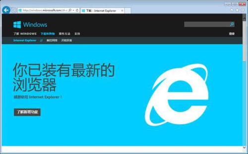 ie无法安装提示已安装了更高版本