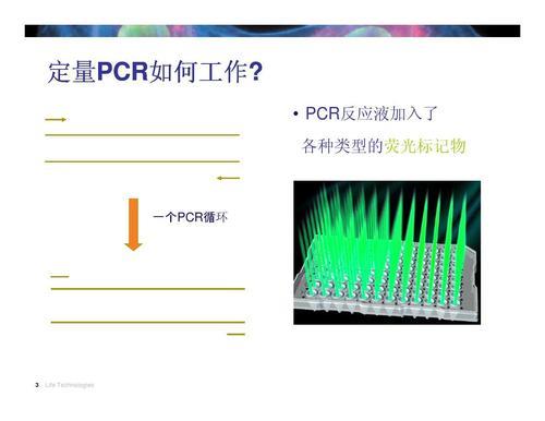 pcr反应的水是