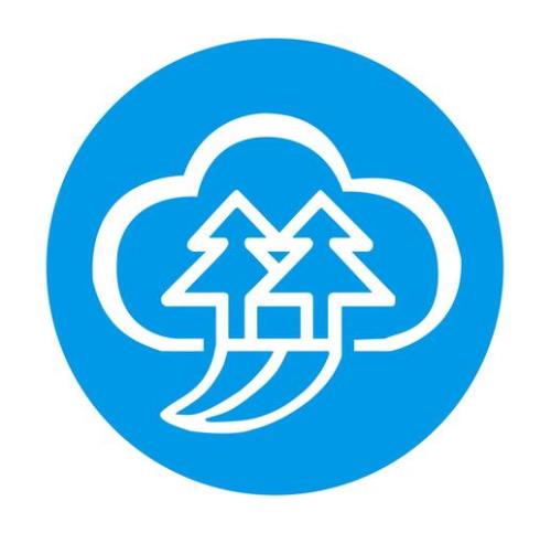 东方云币是什么