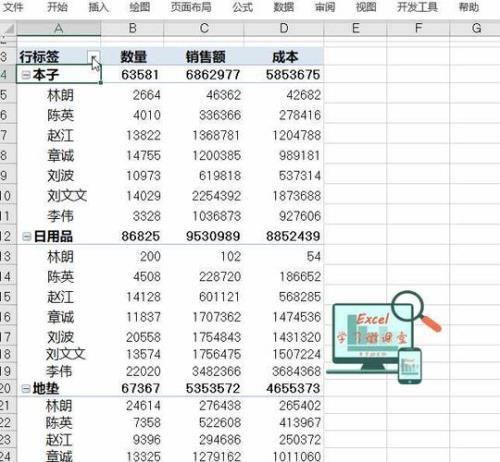 汇总字段在excel怎么用