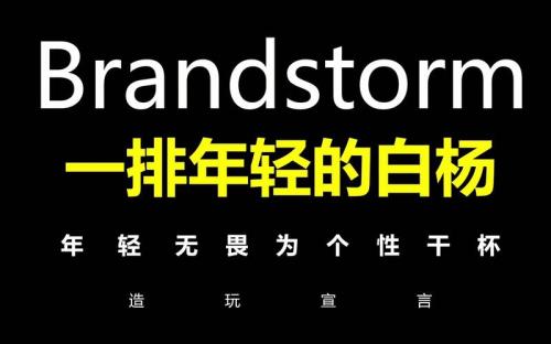 年轻无畏是什么意思