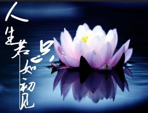 人生若只如初见下一句是什么