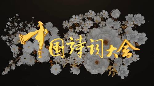 中国诗词的魅力