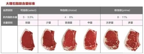 chance和choice的区别