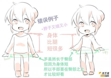 男生肢体长度比例
