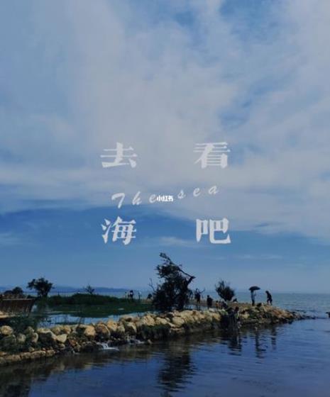 焦迈奇应援口号