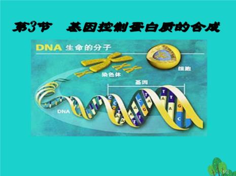 dna生物合成规律