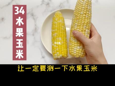 两条玉米热量是多少