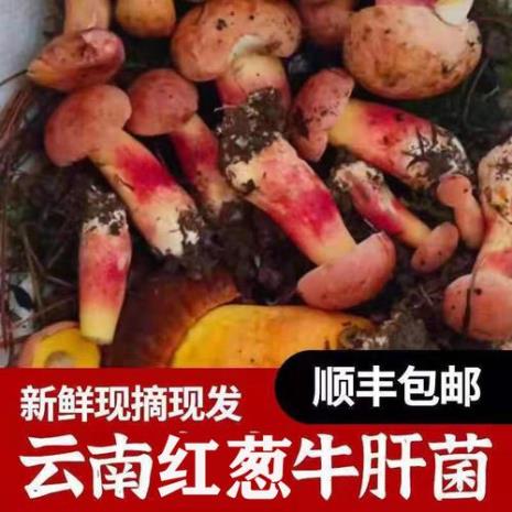红葱好吃还是白葱好吃