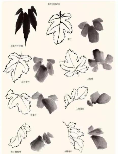 谁画的大菊花