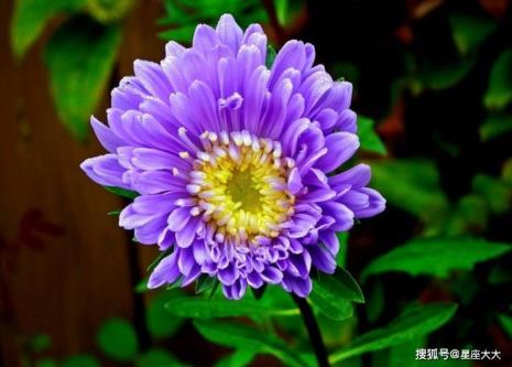 享福命是什么意思