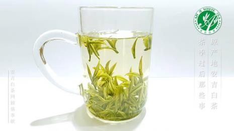 白茶适合什么季节喝