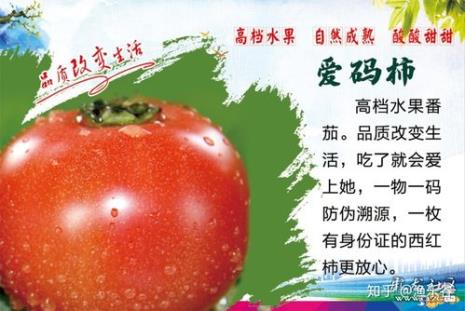 洪柿广告词
