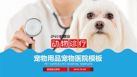 做一名宠物医生是怎样的体验