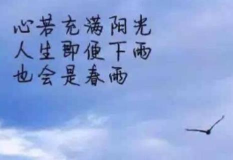 爱能语录感悟