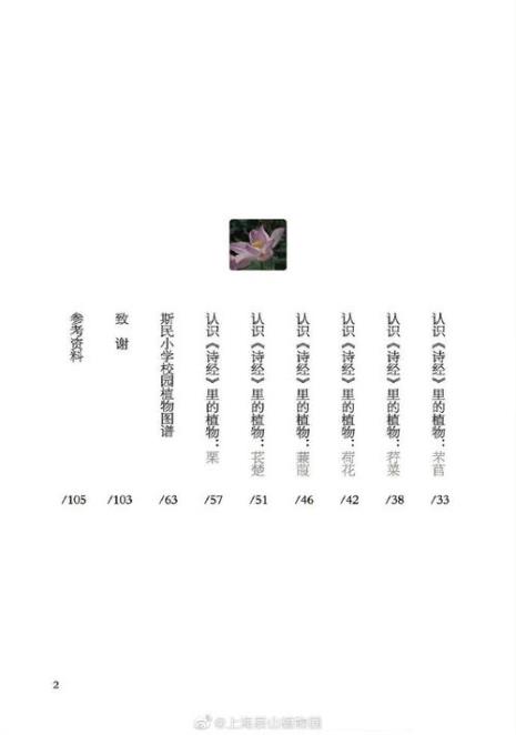 蕨拳欲动苕抽芽读音