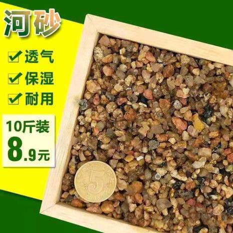 三合一过滤鱼缸底砂怎么铺好看
