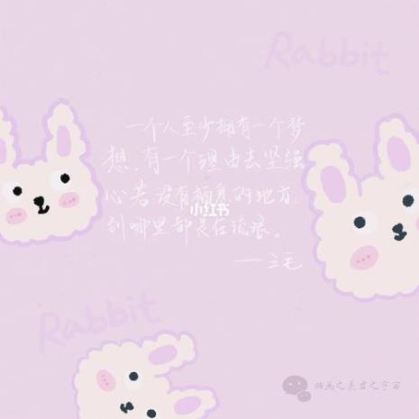 兔子语录