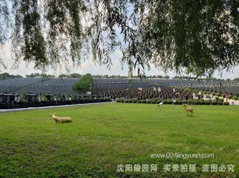 天河城附近怎么去番禺祥和墓园
