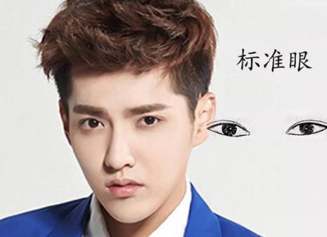 杏眼是什么