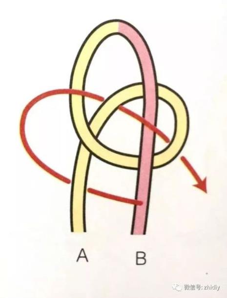 龟甲绳教学