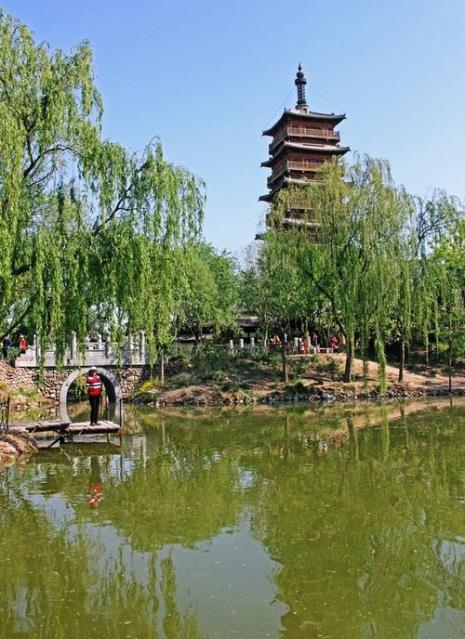 北京八大处有榆树吗