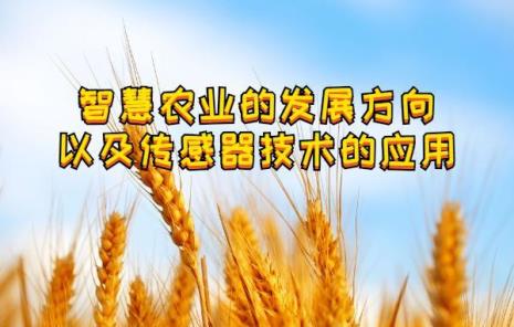 会计学在智慧农业中的应用