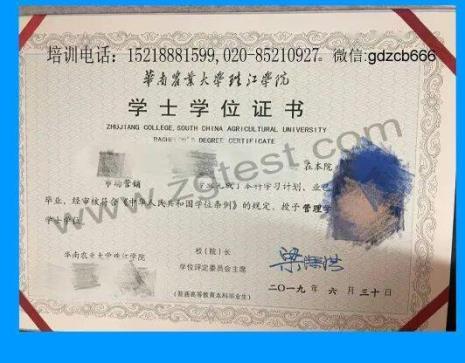 艺术类学位和工学学位哪个好