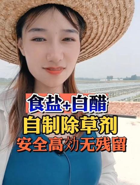 树木自制除草剂