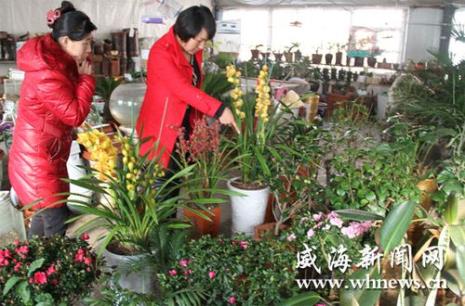 花卉市场什么时候开门