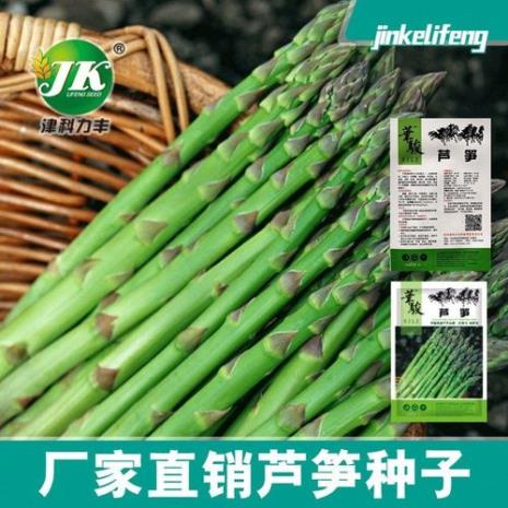 怎样种芦笋用生根粉