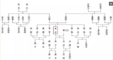 祖宗十八代为什么没有十九代