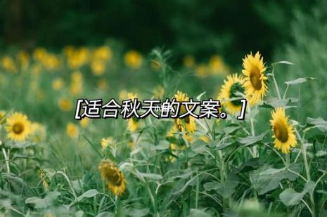 秋天一过的文案