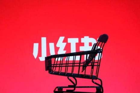 小红书新用户可以干什么