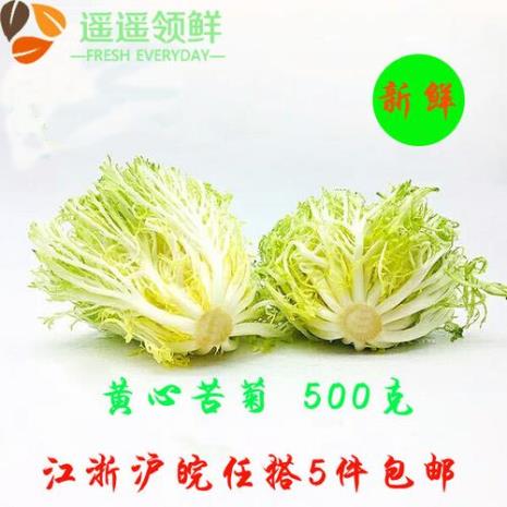 九芽生菜什么季节才有