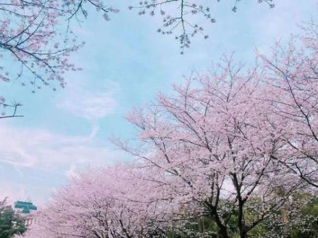 24节气中的黄经是什么