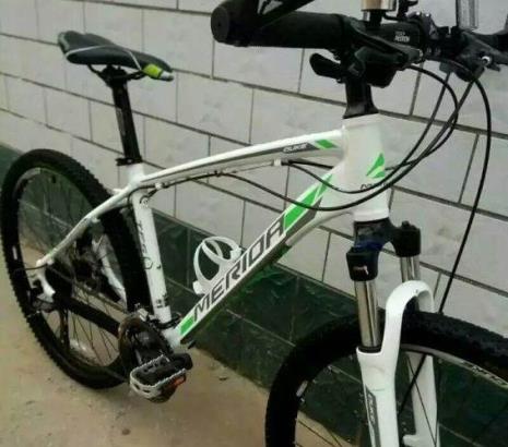 美利达公爵车条型号