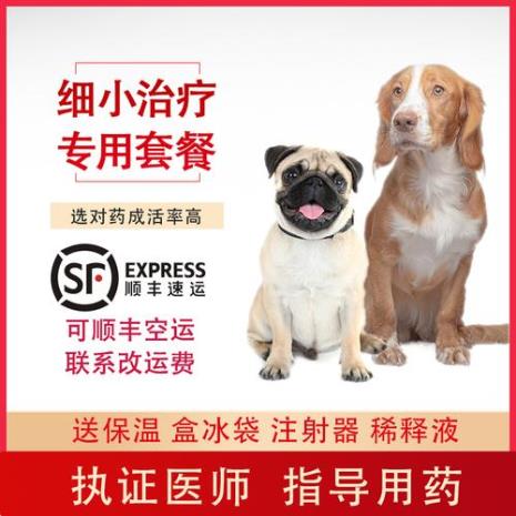 犬瘟热狗狗大量喝水是好事坏事