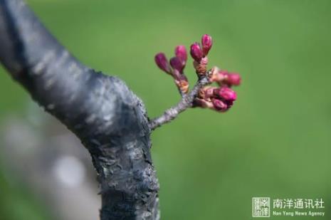 穿花度柳飞如箭的全诗