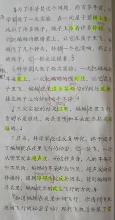 夜间飞行的秘密中心句