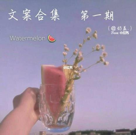 一年的视频合集文案