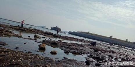 大连七贤岭森林公园赶海时间表