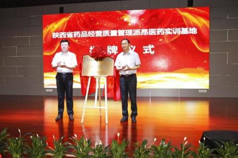 陕药集团标志为啥是条蛇