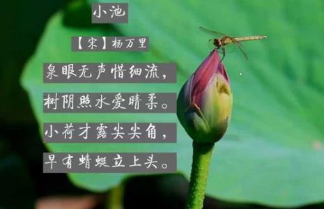 描写夏天炎热的诗句有哪些