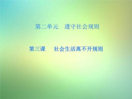 八年级上册政治社会秩序的作用