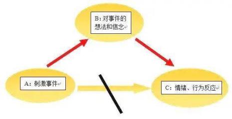 abc理论真实例子